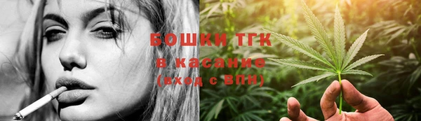 ГАЛЛЮЦИНОГЕННЫЕ ГРИБЫ Арсеньев