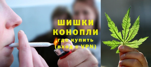 ГАЛЛЮЦИНОГЕННЫЕ ГРИБЫ Арсеньев