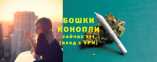 ГАЛЛЮЦИНОГЕННЫЕ ГРИБЫ Арсеньев