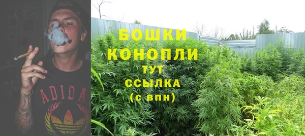 ГАЛЛЮЦИНОГЕННЫЕ ГРИБЫ Арсеньев