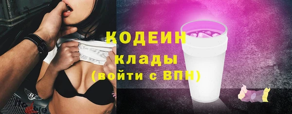 ГАЛЛЮЦИНОГЕННЫЕ ГРИБЫ Арсеньев